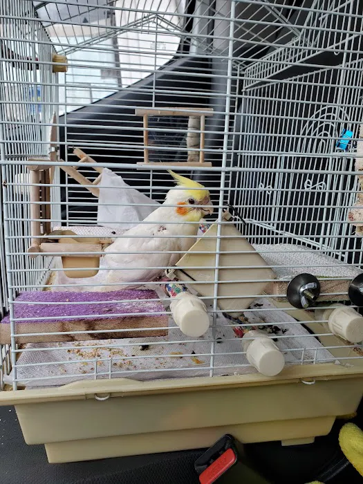 Bay Area Bird and Exotics Hospital Picture 5