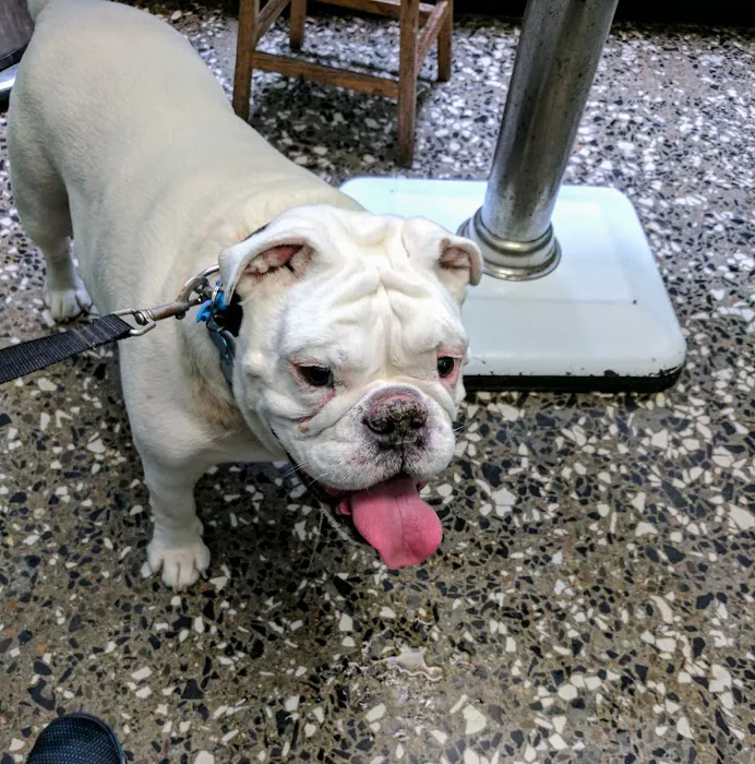 Avenues Pet Hospital Picture 2