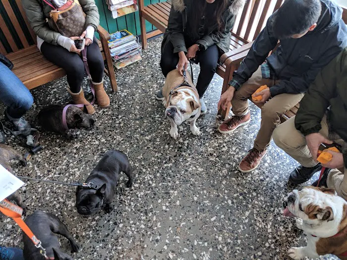 Avenues Pet Hospital Picture 1
