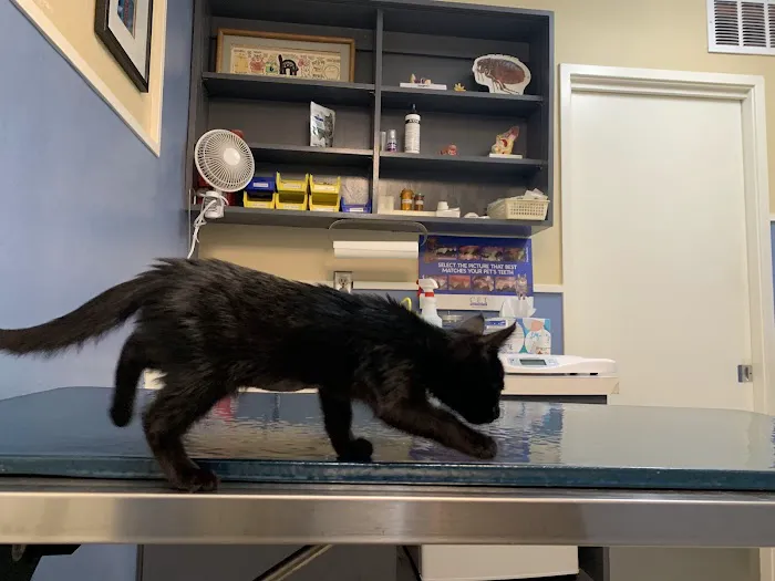 Sunset Veterinary Hospital Picture 1
