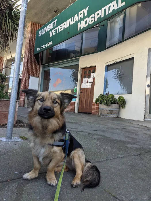 Sunset Veterinary Hospital Picture 8