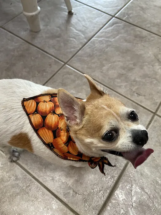 Expressway Animal Hospital Picture 2