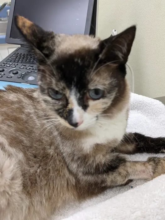 Animal Medical & Surgical Hospital Picture 1