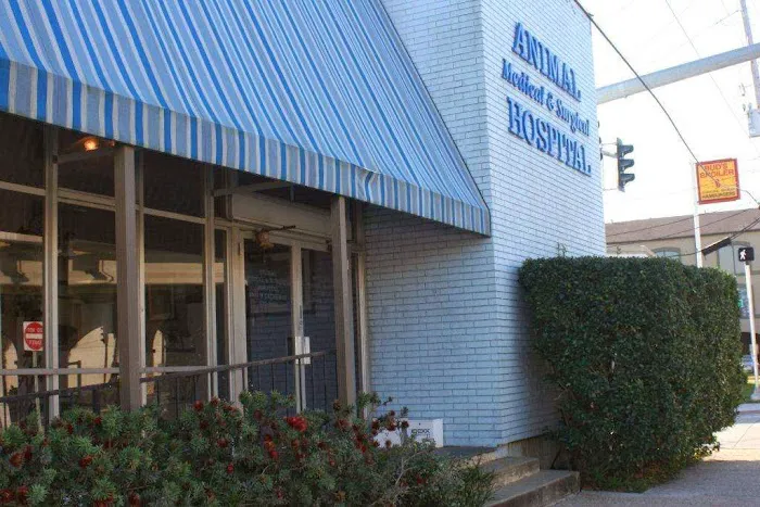 Animal Medical & Surgical Hospital Picture 7