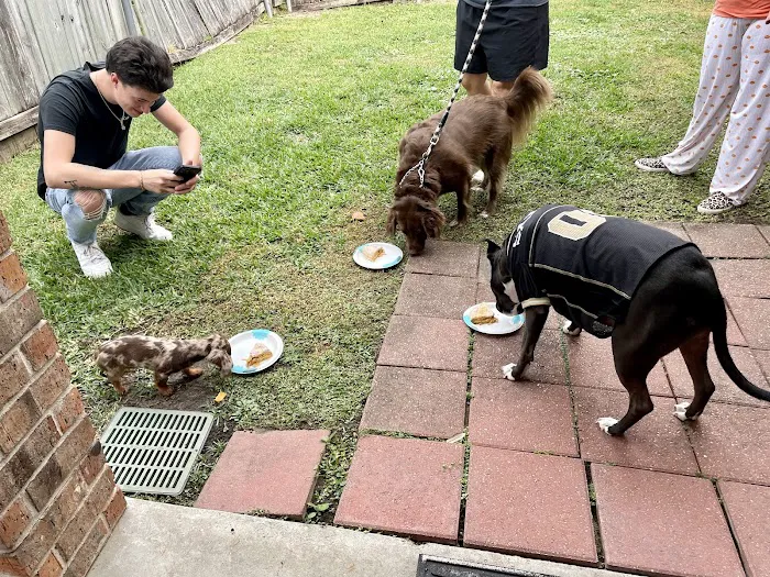 Natural Pet Care Picture 3