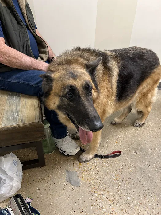 Vetco Total Care Animal Hospital Picture 3