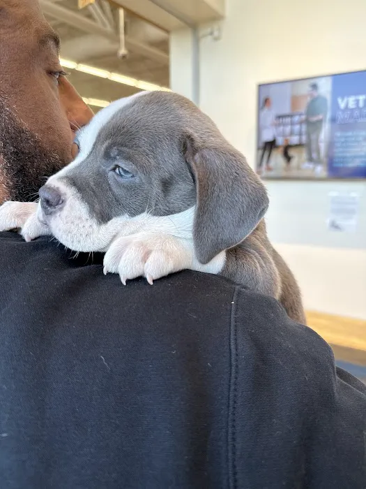 Vetco Total Care Animal Hospital Picture 5