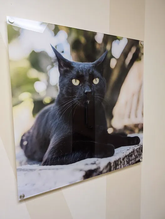 Vetco Total Care Animal Hospital Picture 4
