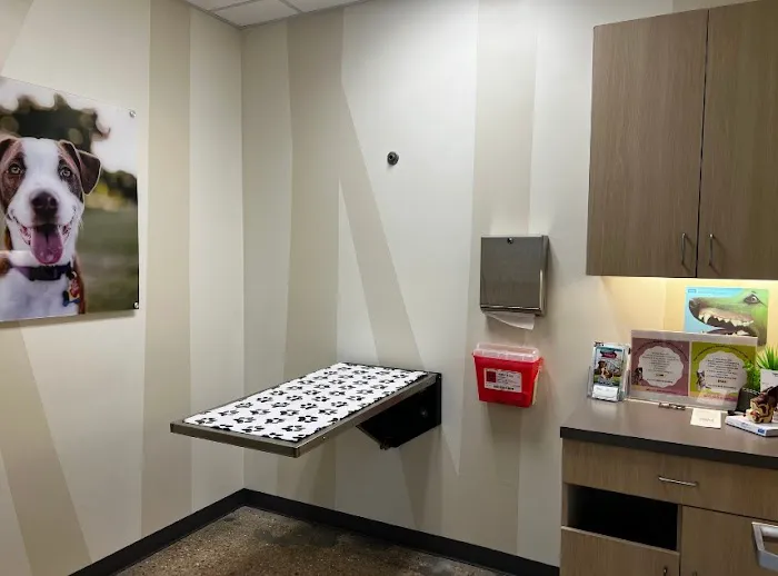 Vetco Total Care Animal Hospital Picture 10