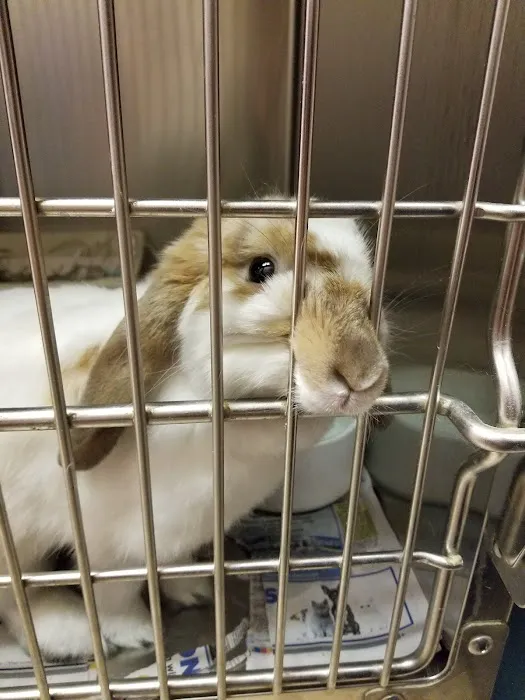 Avian & Exotic Animal Hospital of Louisiana Picture 4