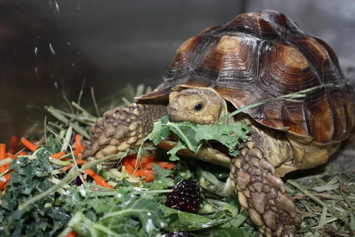 Avian & Exotic Animal Hospital of Louisiana Picture 8