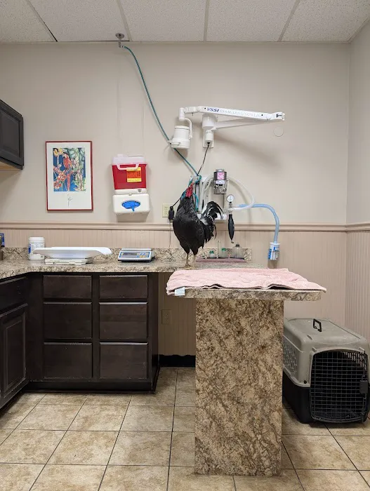 Avian & Exotic Animal Hospital of Louisiana Picture 6