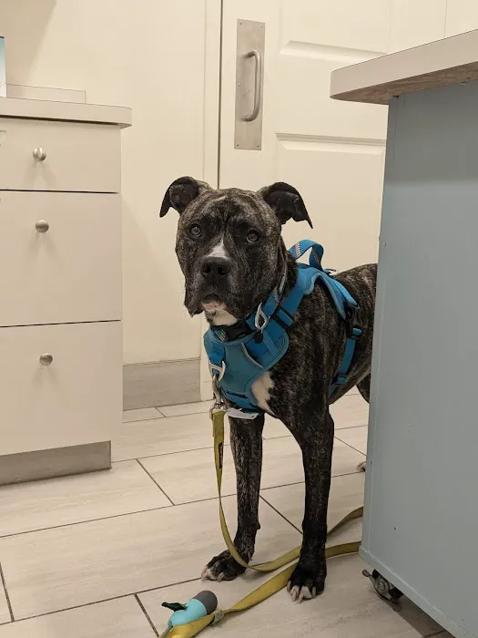 River Road Veterinary Hospital Picture 4