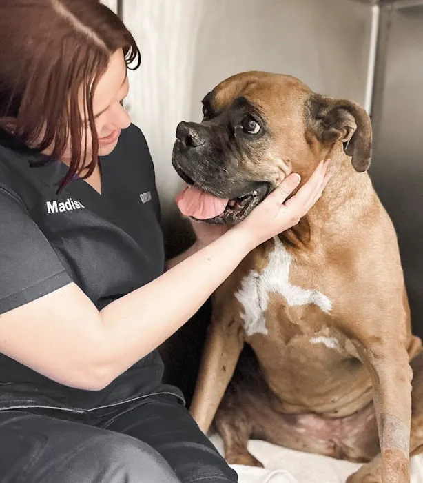 River Road Veterinary Hospital Picture 6