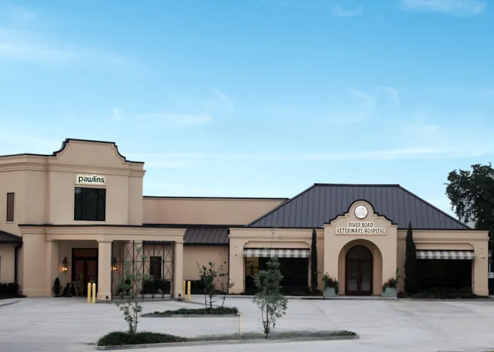 River Road Veterinary Hospital Picture 9