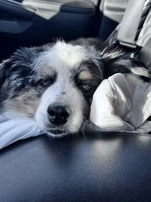 Ark Animal Hospital Picture 1