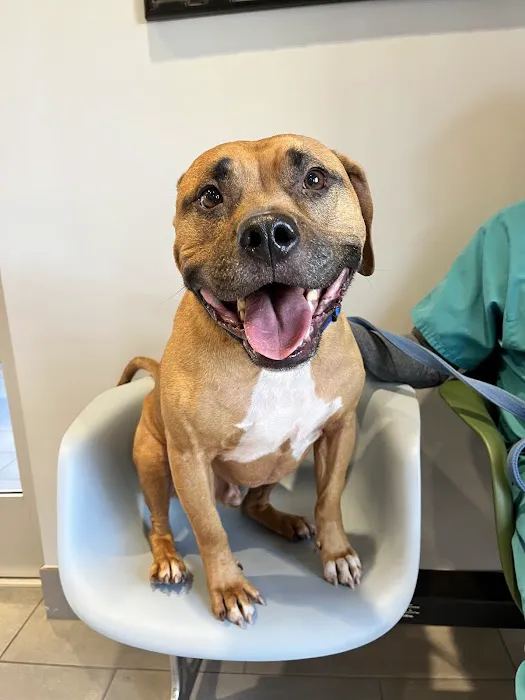 Ark Animal Hospital Picture 2