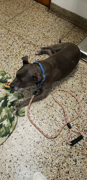 Ark Animal Hospital Picture 3