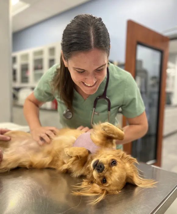 Ark Animal Hospital Picture 6