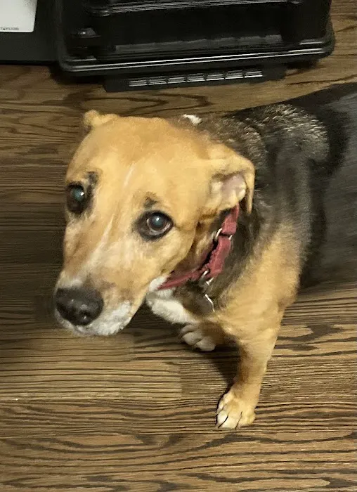 Ark Animal Hospital Picture 7