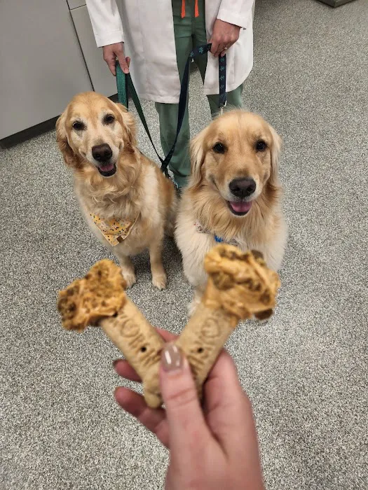 Ark Animal Hospital Picture 9