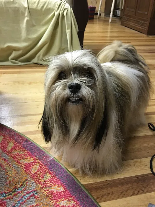 Batt Veterinary Services Picture 4
