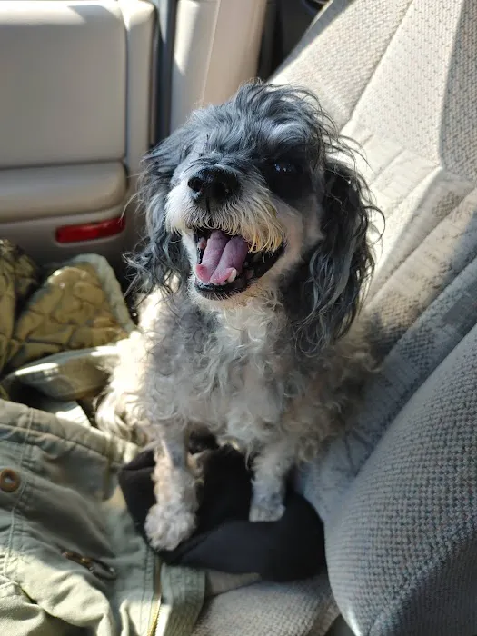 Batt Veterinary Services Picture 6