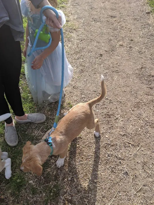 Batt Veterinary Services Picture 5