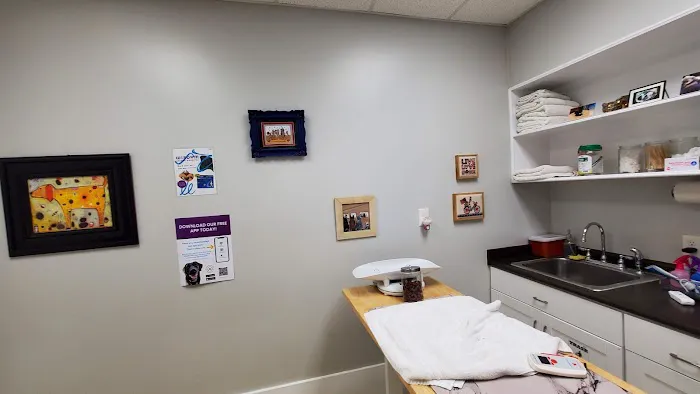 Wisdom Animal Hospital Picture 2