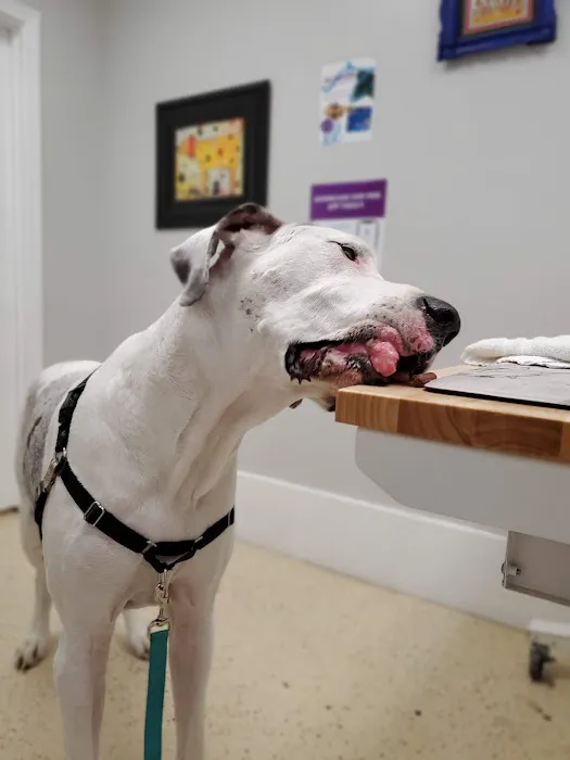 Wisdom Animal Hospital Picture 1