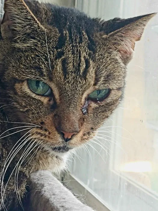 Wisdom Animal Hospital Picture 8