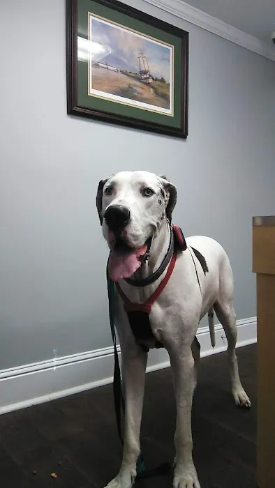 Healthy Paws Animal Hospital LLC Picture 2