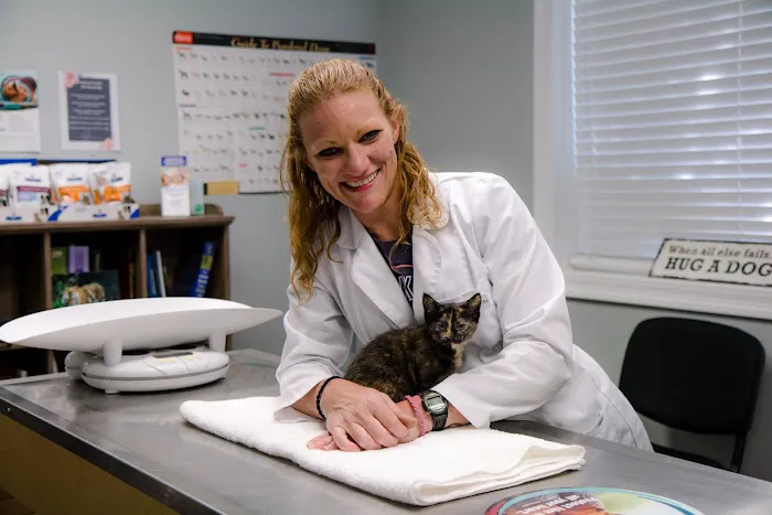 Healthy Paws Animal Hospital LLC Picture 4