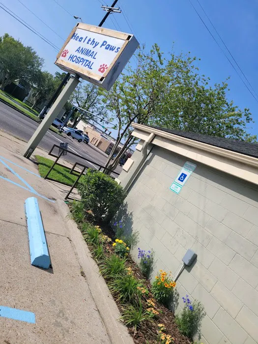 Healthy Paws Animal Hospital LLC Picture 8