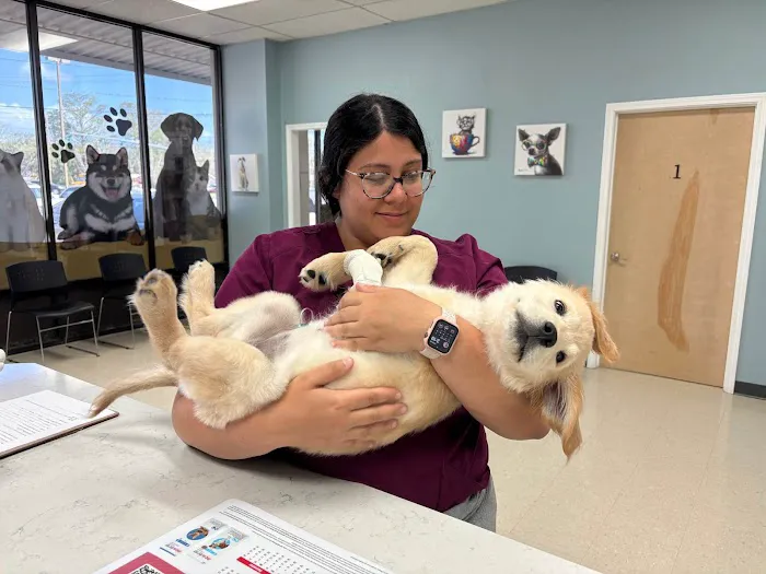 Acadiana West Animal Clinic Picture 9