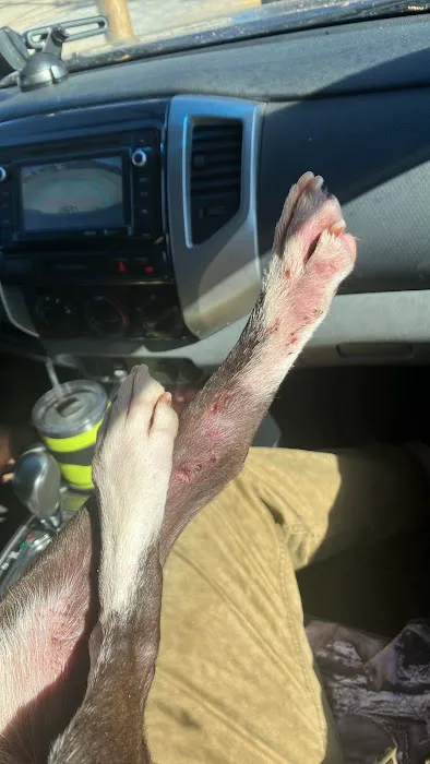 Lakeside Animal Hospital Picture 3
