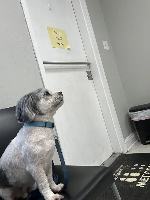 Lakeside Animal Hospital Picture 1