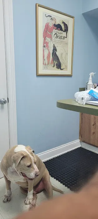 Lakeside Animal Hospital Picture 7