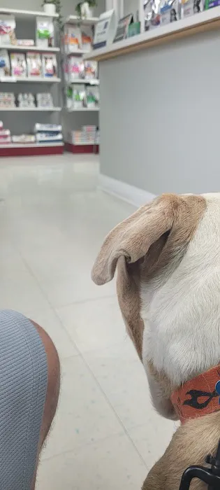 Lakeside Animal Hospital Picture 6