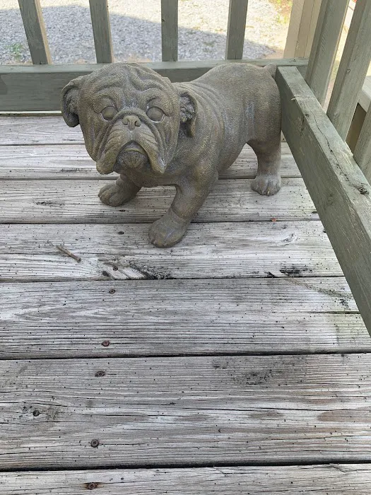 Belle Chasse Animal Hospital, Dr. Stephen Hebert Picture 4