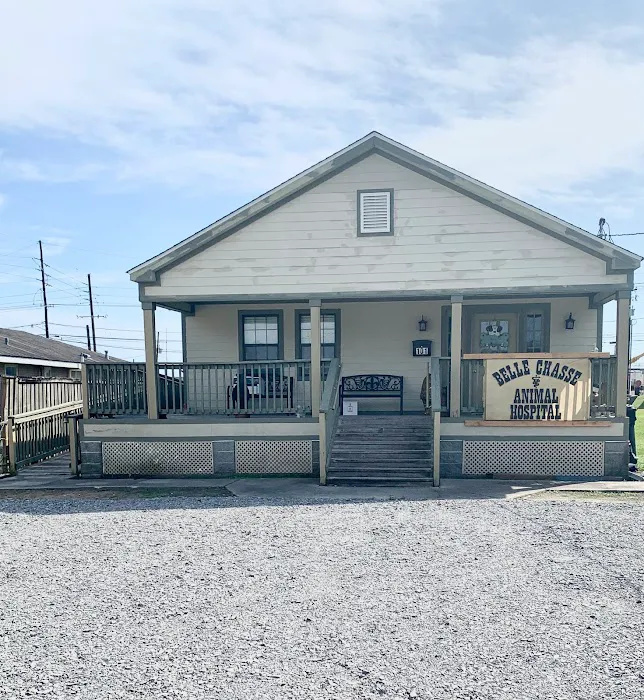 Belle Chasse Animal Hospital, Dr. Stephen Hebert Picture 2