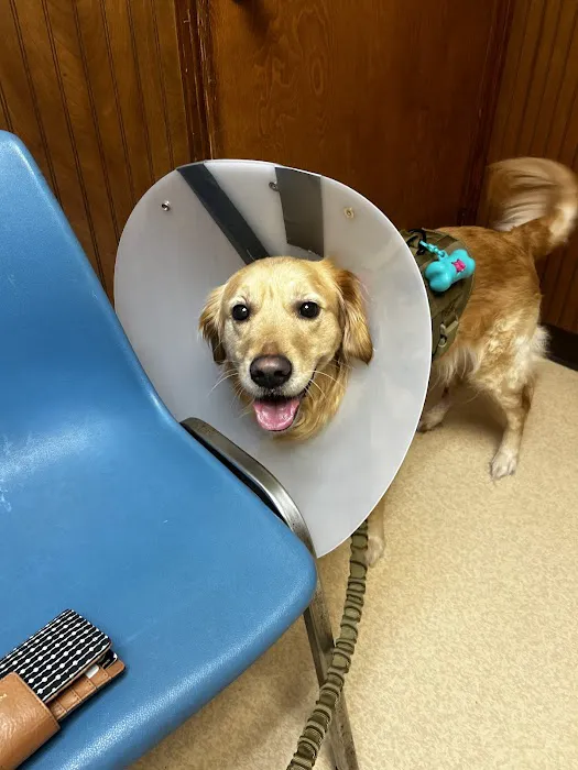 Belle Chasse Veterinary Clinic Picture 6