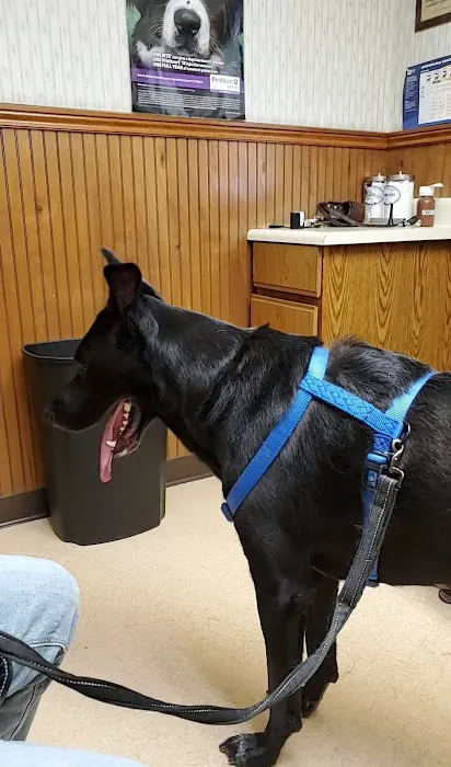 Belle Chasse Veterinary Clinic Picture 9