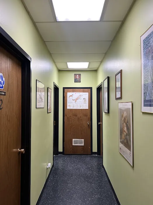 Brighton Park Animal Hospital Picture 3