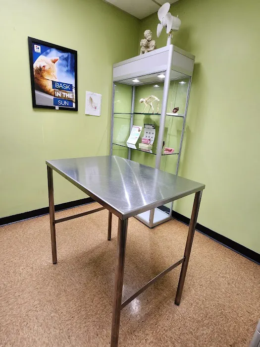 Brighton Park Animal Hospital Picture 5