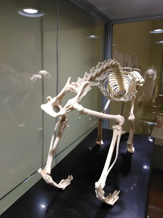 Brighton Park Animal Hospital Picture 6