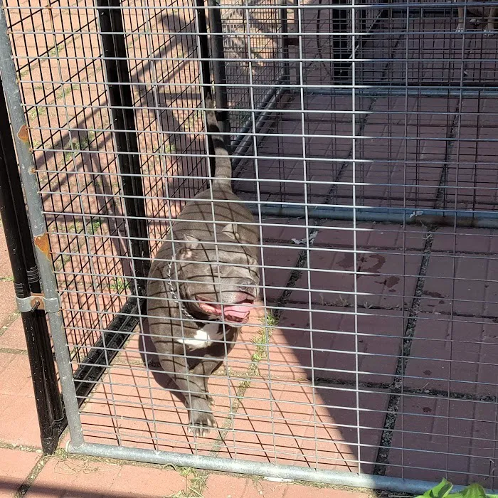 Brighton Park Animal Hospital Picture 9