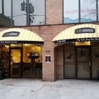 Oz Animal Hospital Lincoln Park ico