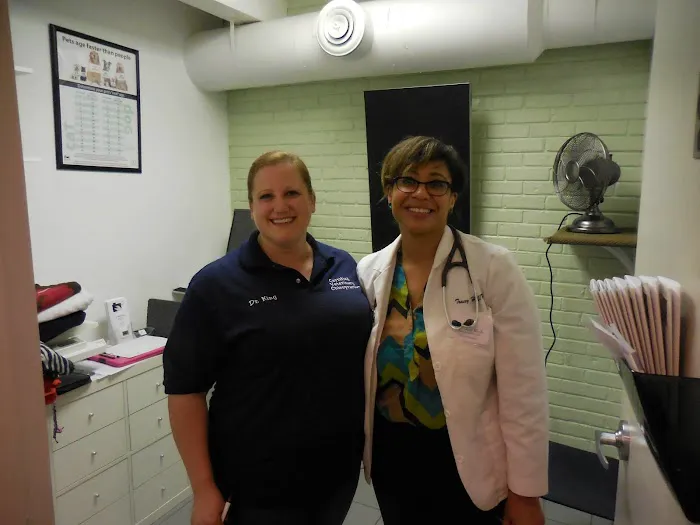 Oz Animal Hospital Lincoln Park Picture 10