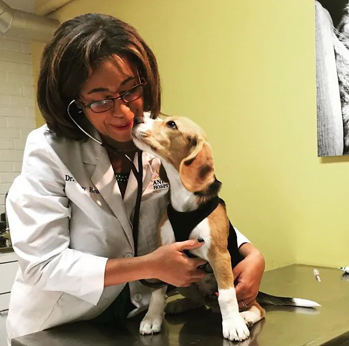 Oz Animal Hospital Lincoln Park Picture 8